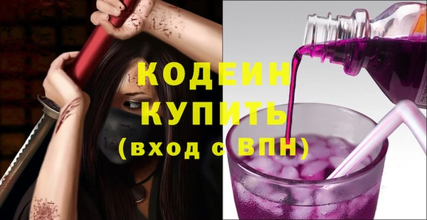 хмурый Богородицк
