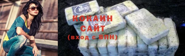 спиды Бородино