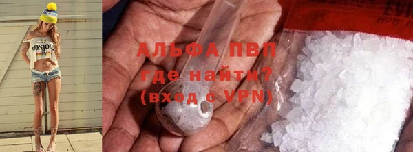 спиды Бородино