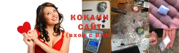 спиды Бородино
