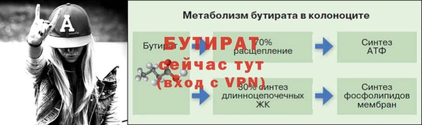 спиды Бородино