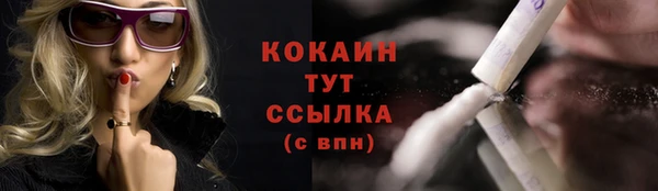 спиды Бородино