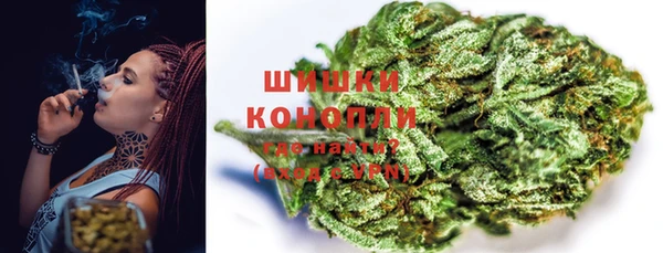 спиды Бородино