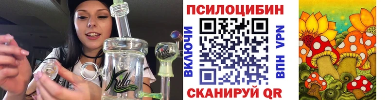Купить где  Медвежьегорск  Галлюциногенные грибы GOLDEN TEACHER 